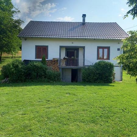 Appartement Kuca Za Odmor Luka à Luka  Extérieur photo
